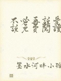 不必再说爱我小说免费阅读无弹窗封面