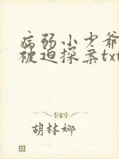 病弱小少爷又在被迫探案txt