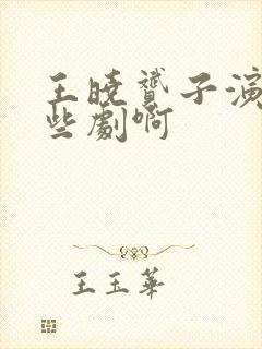 王晓赟子演过哪些剧啊