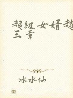 超级女婿赵旭第三章