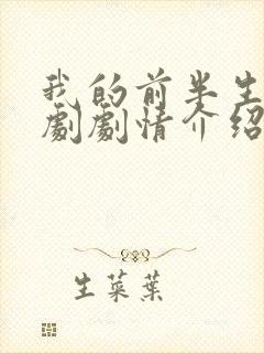 我的前半生电视剧剧情介绍大结局封面