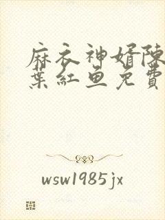 麻衣神婿陈黄皮叶红鱼免费听封面