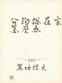 公狗总在家乱尿怎么办