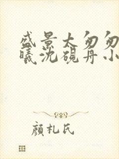 盛景太匆匆宁若曦沈砚舟小说封面