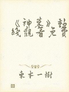 《神墓》动漫在线观看免费