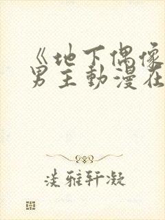 《地下偶像》双男主动漫在线播放