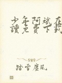 少年阿斌在线阅读免费下载小说全文