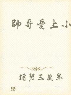 帅哥爱上小鲜肉