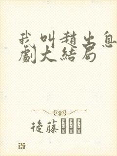 我叫赵出息电视剧大结局封面