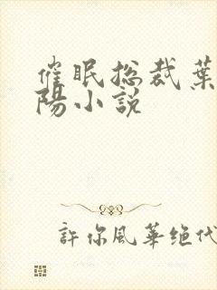 催眠总裁叶宸欧阳小说