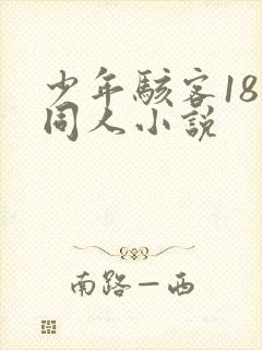 少年骇客18家同人小说