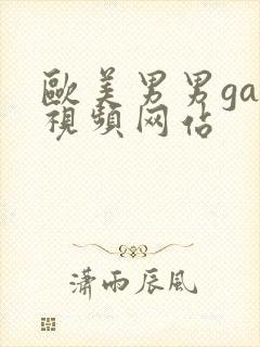 欧美男男gay视频网站