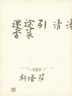 迷途引 清汤涮香菜