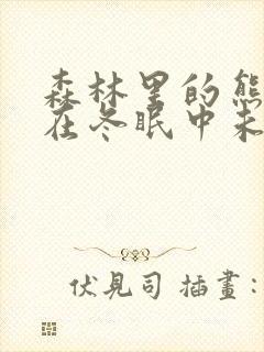 森林里的熊先生在冬眠中未增减版漫画