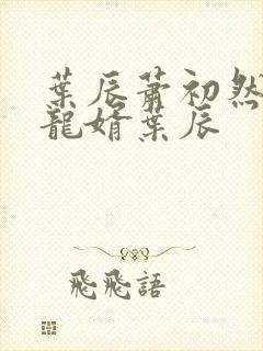 叶辰萧初然上门龙婿叶辰封面