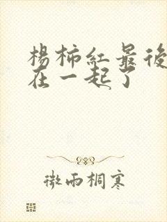 杨柿红最后和谁在一起了