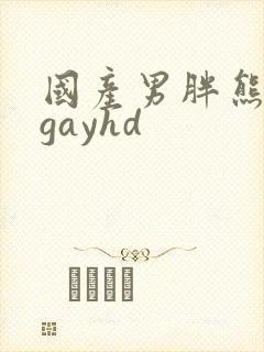 国产男胖熊同性gayhd封面