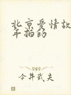 北京爱情故事哪年拍的封面