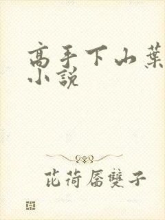 高手下山叶君临小说