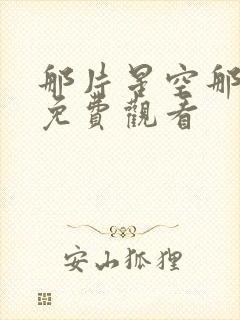 那片星空那片海免费观看封面