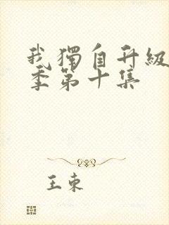 我独自升级第二季第十集封面