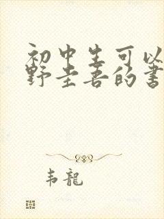 初中生可以看东野圭吾的书吗