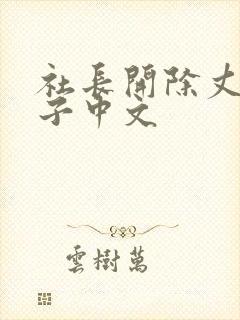 社长开除丈夫妻子中文封面