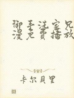 御手洗家兄妹动漫免费播放