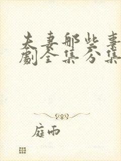 夫妻那些事电视剧全集分集剧情介绍