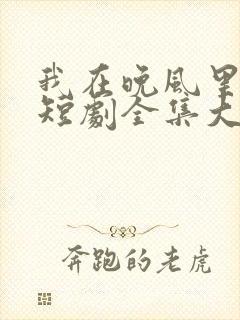 我在晚风里等你短剧全集大结局