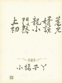 上门龙婿叶辰萧初然小说免费阅读