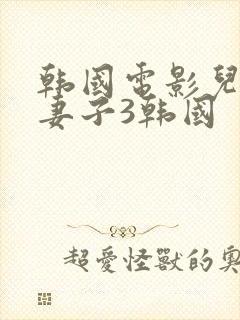 韩国电影儿子的妻子3韩国