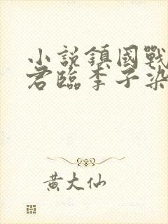 小说镇国战神叶君临李子染封面