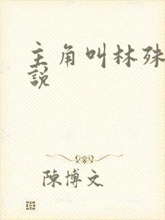 主角叫林殊的小说