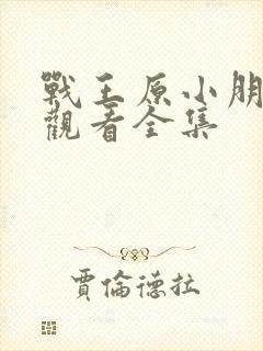 战王原小朋免费观看全集封面