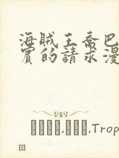 海贼王乔巴与罗宾的请求漫画封面