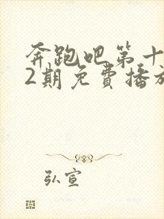 奔跑吧第十季12期免费播放