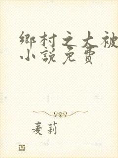 乡村之大被同眠小说免费