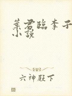 叶君临李子染的小说