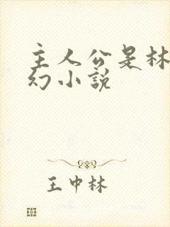 主人公是林天玄幻小说封面