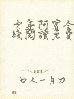 少年阿宾全文在线阅读免费下载封面