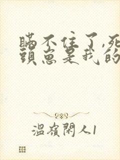 瞒不住了,死对头崽是我的小说免费阅读下载封面