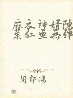 麻衣神婿陈黄皮叶红鱼无弹窗封面