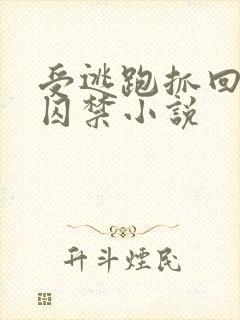 受逃跑抓回惩罚囚禁小说