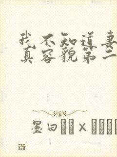 我不知道妻子的真容貌第二集