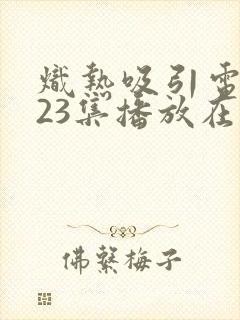 炽热吸引电视剧23集播放在线观看封面