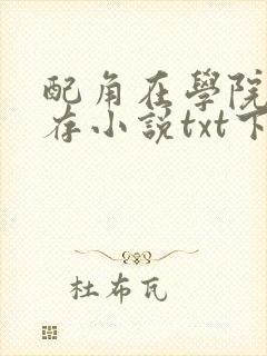 配角在学院中生存小说txt下载封面