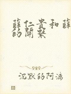 薛仁贵和薛丁山的关系