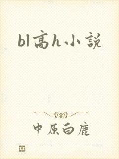 bl高h小说