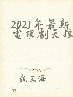 2021年最新电视剧天狼影视